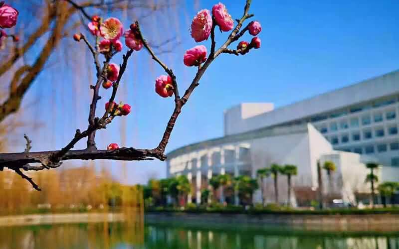 2020年上海大学春季高考招生章程
