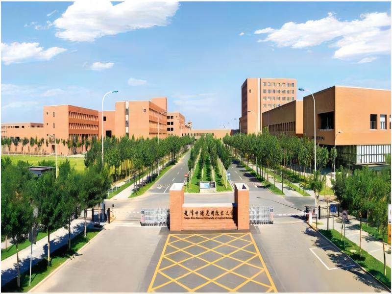 天津中德应用技术大学2020年承认美术统考成绩