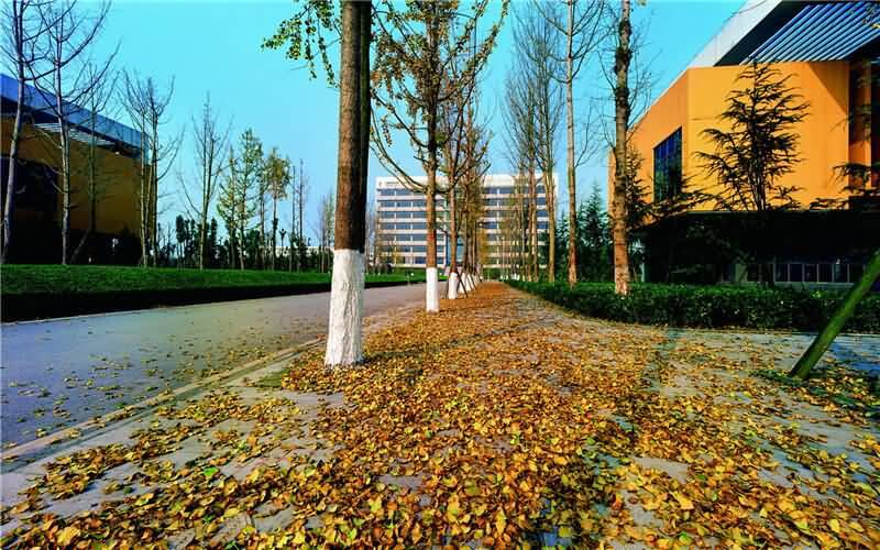  重庆科技学院智能技术与工程学院计算机科学与技术专
