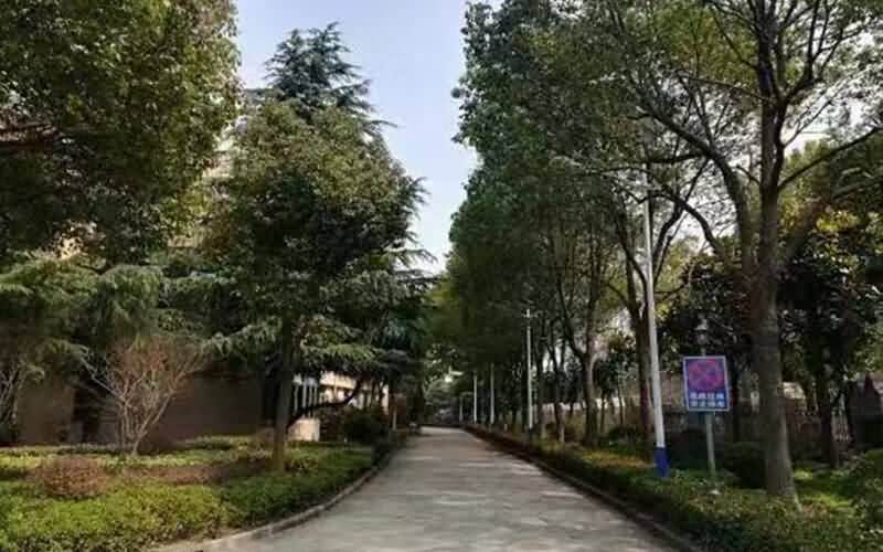 上海海关学院是211大学吗？