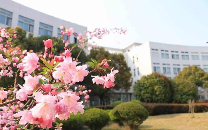 上海第二工业大学材料与化工专业考研调剂到了哪些学校