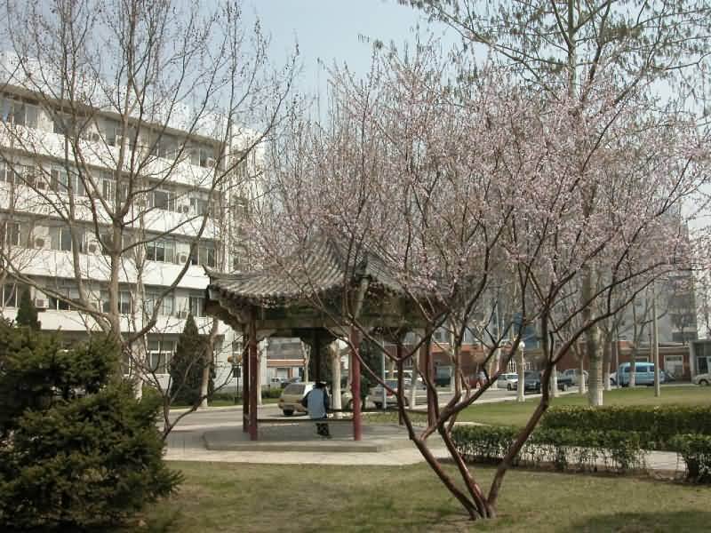 天津医科大学可以调剂到郑州大学吗