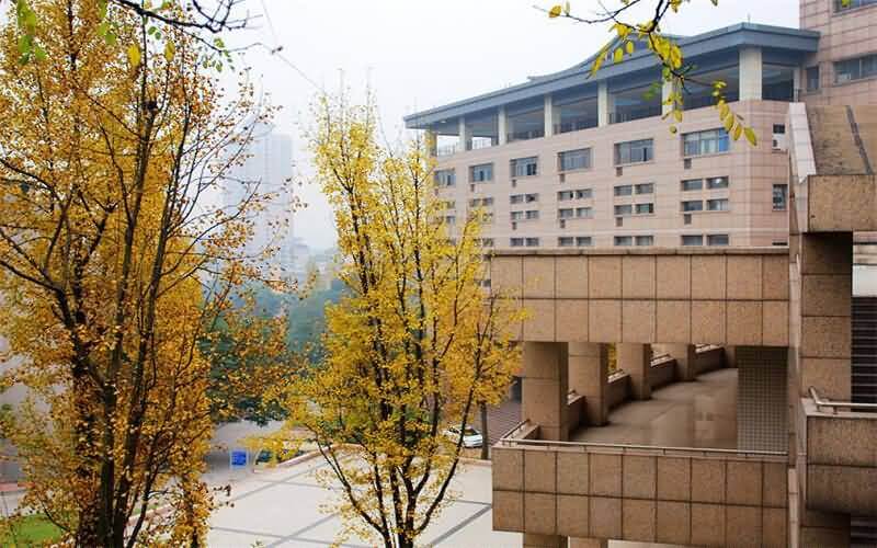 重庆医科大学运动医学专业考研调剂到了哪些学校（数据