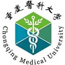重庆医科大学博士补贴多少钱一个月  